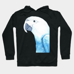 Spix&#39;s macaw watercolor portrait Hoodie